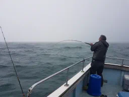 Angler with rod bent into a Tope
